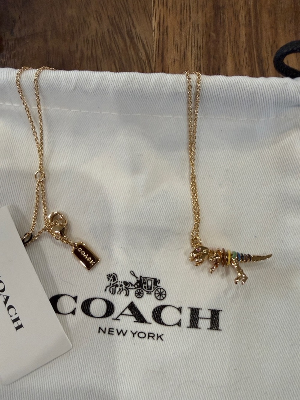 Coach Gold-tone Dinosaur “REXY” Pendant Necklace with Multicolor Enamel Accents